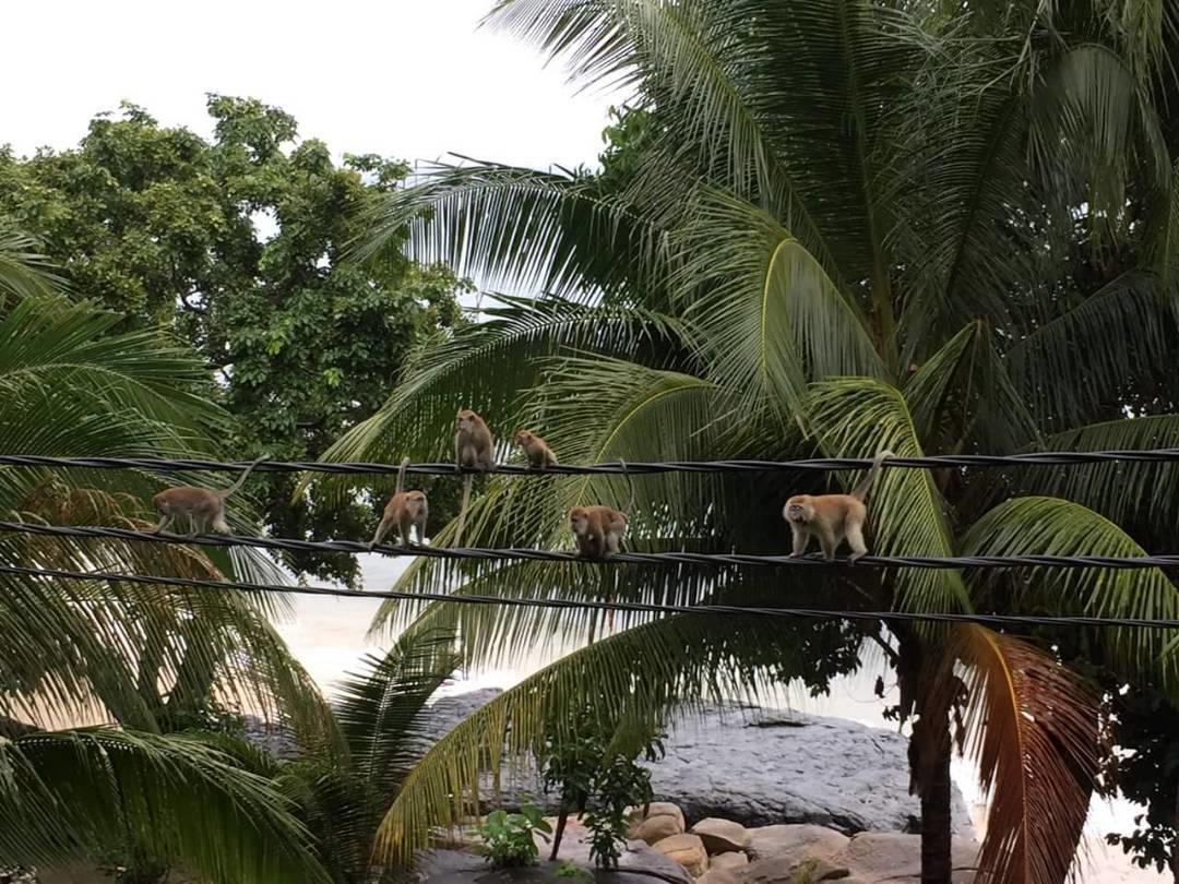 Simukut Place Kampong Pasir Sanang Burong Exteriér fotografie